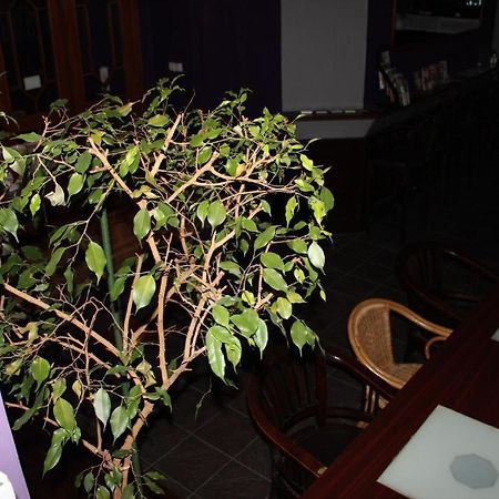 Club Hotel Praha מראה חיצוני תמונה